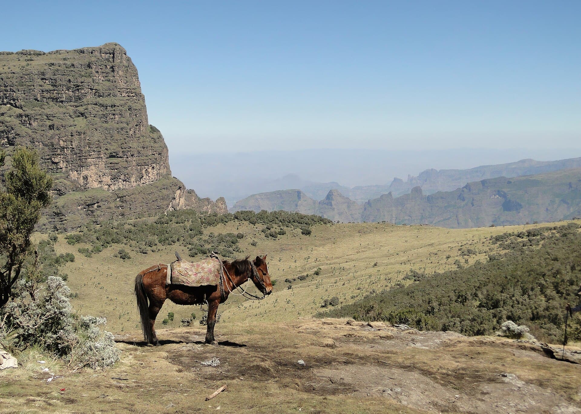 Escarpment cliffs and highland plateau of Simien Mountains National Park